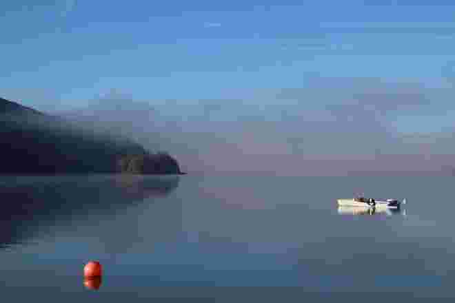 Morgenstille am Wallersee