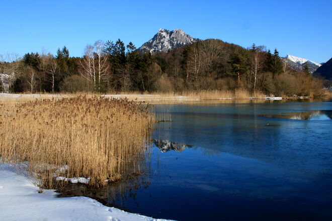 Auf der Suche nach dem Frühling - noch sehr viel Winter vorgefunden.....
