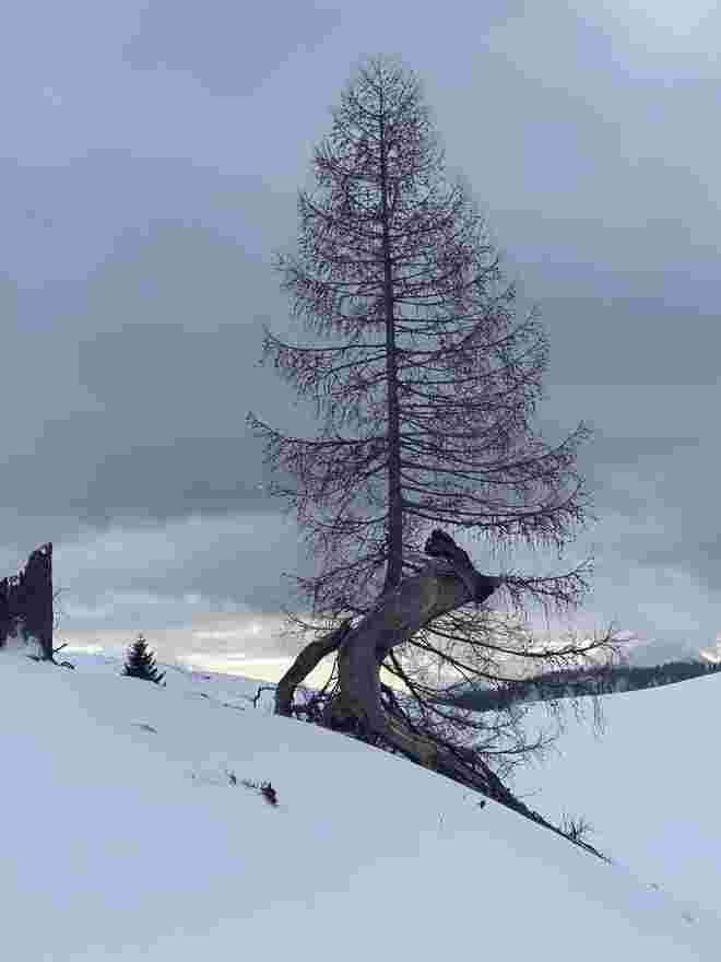 Winterstimmung