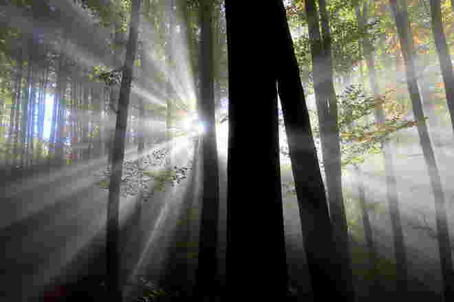 Starke Sonnenstrahlen durch den Nebel