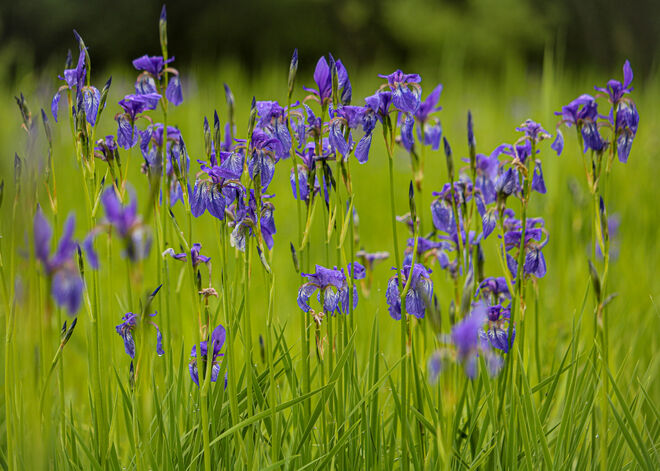 Alle Jahre wieder...