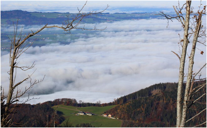 * dem Nebel entflohen *