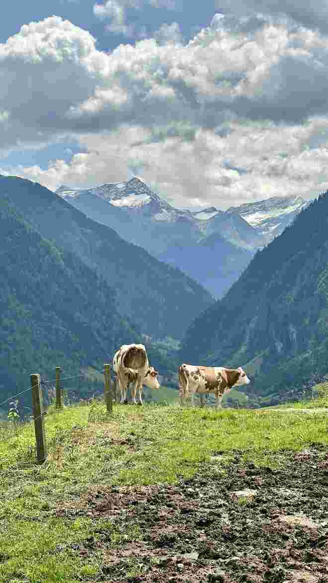 Blick ins Stubachtal