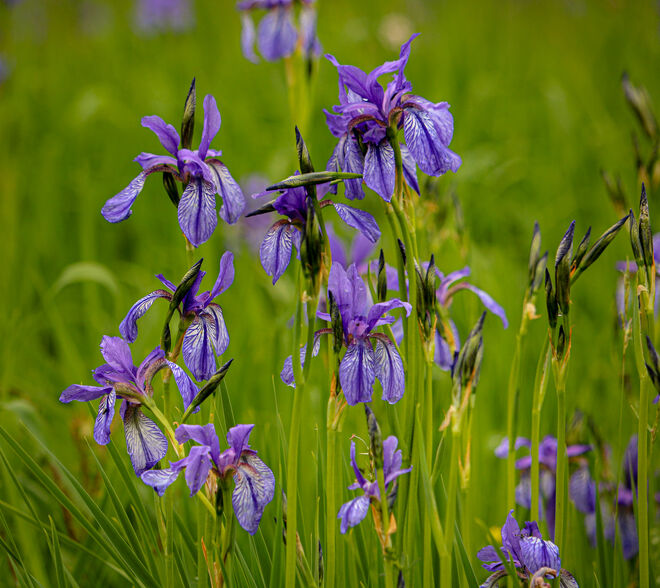 So schön anzuschauen...
