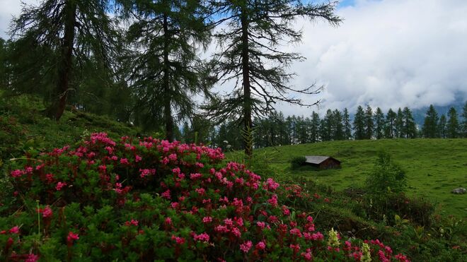 Almidylle im Hochkönigsmassiv