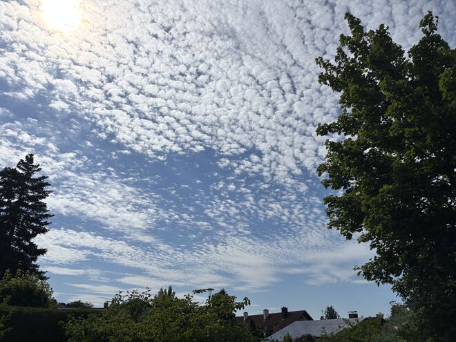 Flöckchenansammlung