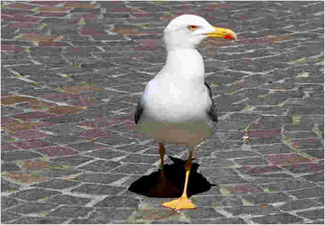 * alles im Blick *