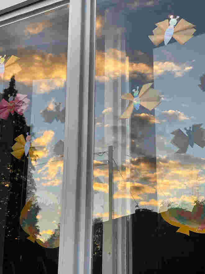 Schmetterlinge am Fenster