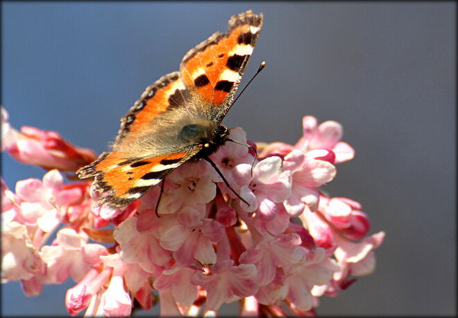 * einmal volltanken bitte *