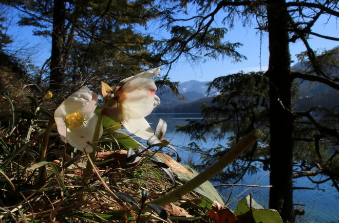 Frühlingsspaziergang