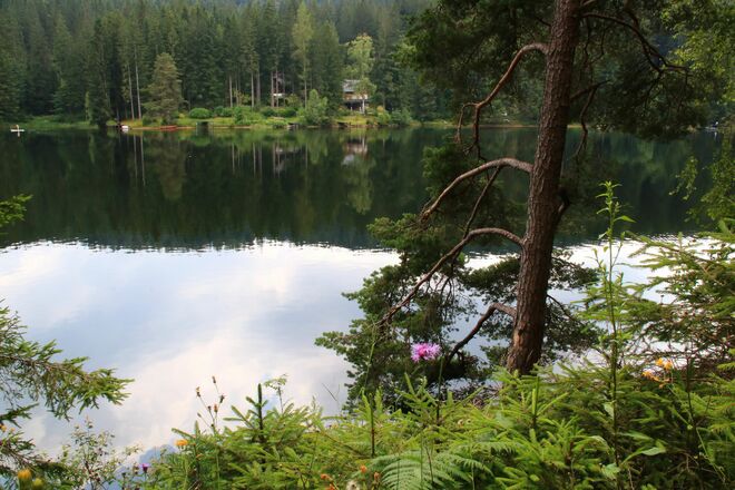 Idylle am Packer Stausee