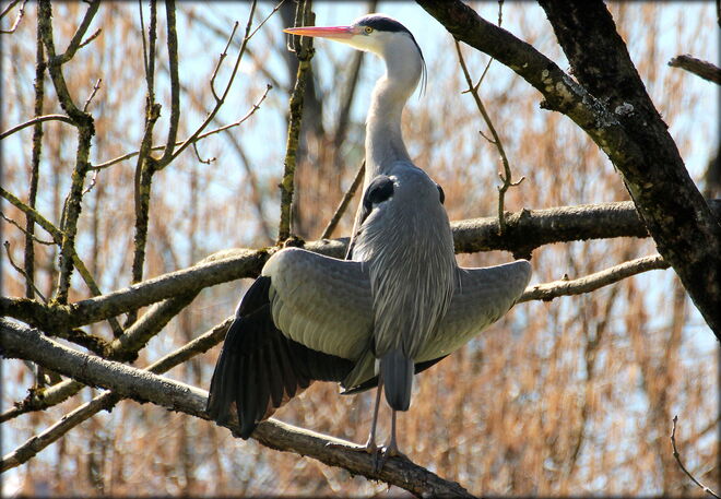 * Sonnenanbeter oder einmal durchlüften ;) *