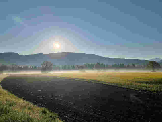 Morgenstund