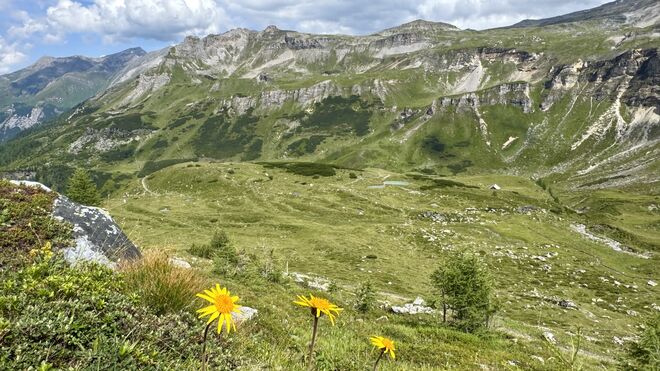 Wunderbare Gebirgswelt !