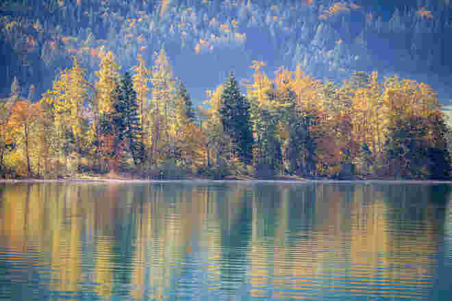 Farbenfroher Herbst...