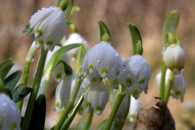 Trotz Schirmchen ordentlich nass geworden