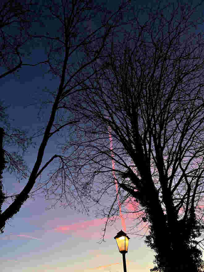 Morgendliches Lichtspiel