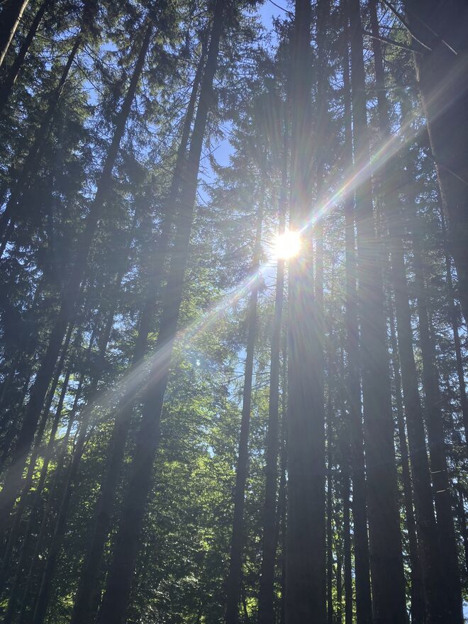 Morgensonne am Berg…