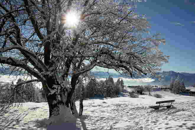 Eines meiner Lieblings- Fotomotive im Winter (3)