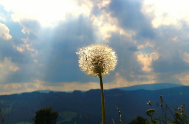 Bereit zum Abflug ...