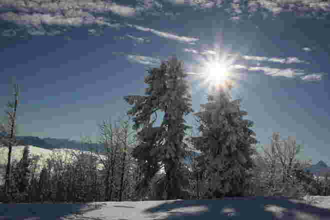Eines meiner Lieblings- Fotomotive im Winter (2)