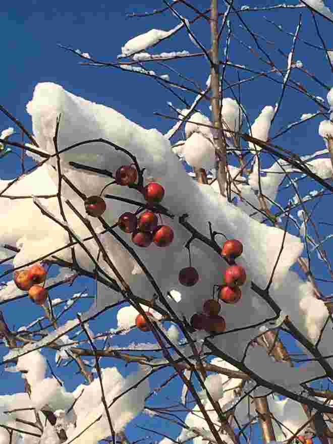 Schnee...