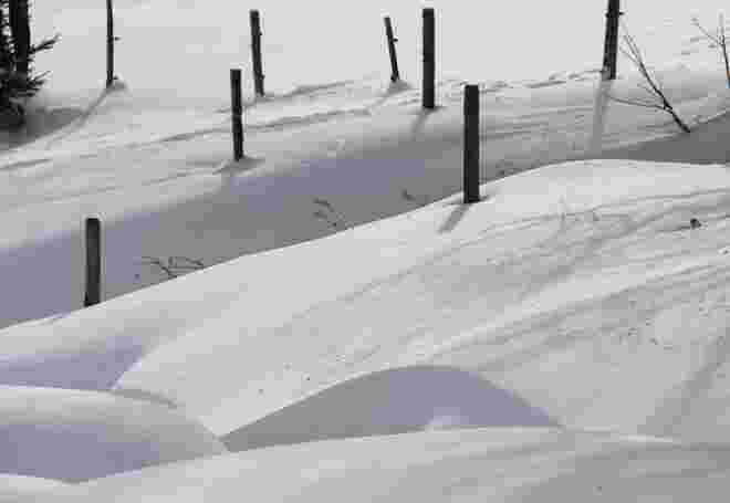 Winterwiese
