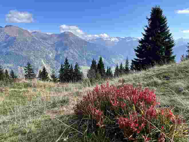 Ein roter Farbtupfer