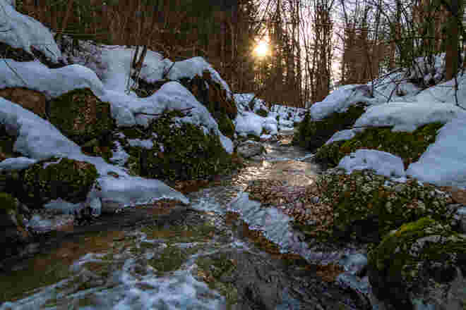 Alterbach