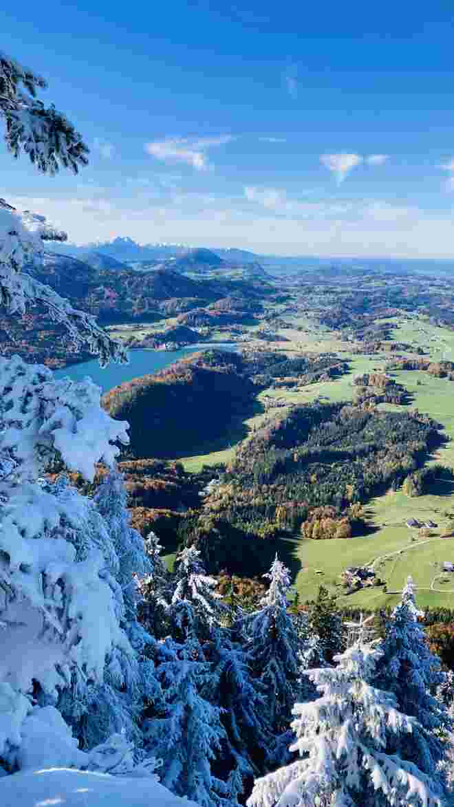 Herbstlaub vs Schnee