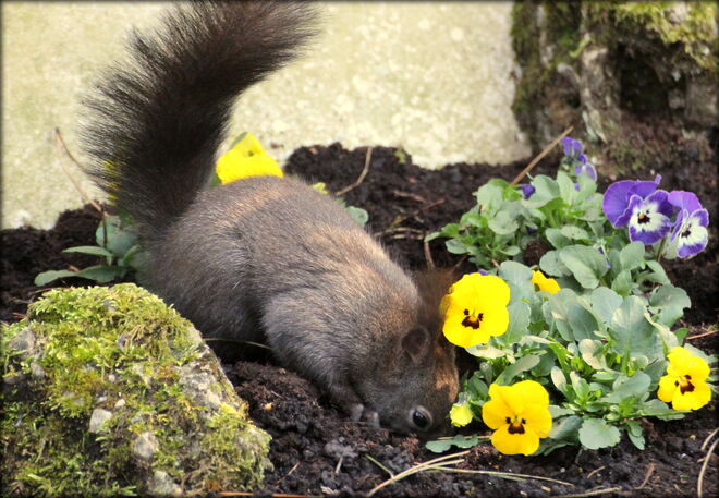 * Hilfe beim Umtopfen ;) *