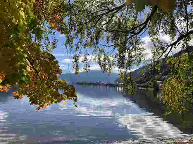 Herbstlicher Blick nach Zell