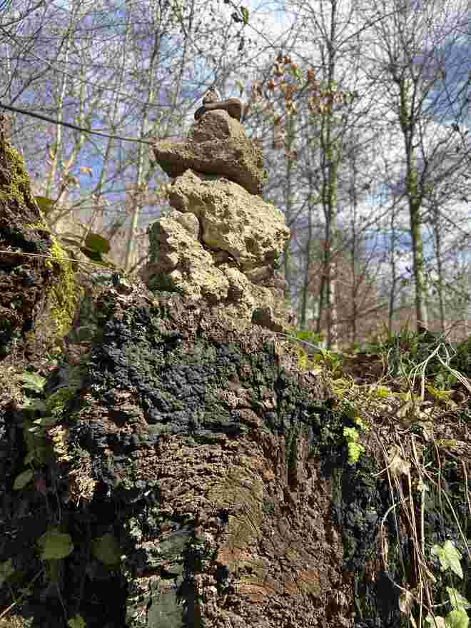 Kunst auf Totholz