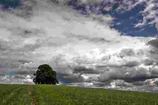 Die schöne Gschirnlinde heute nachmittag mit dramatischer Wolkenstimmung