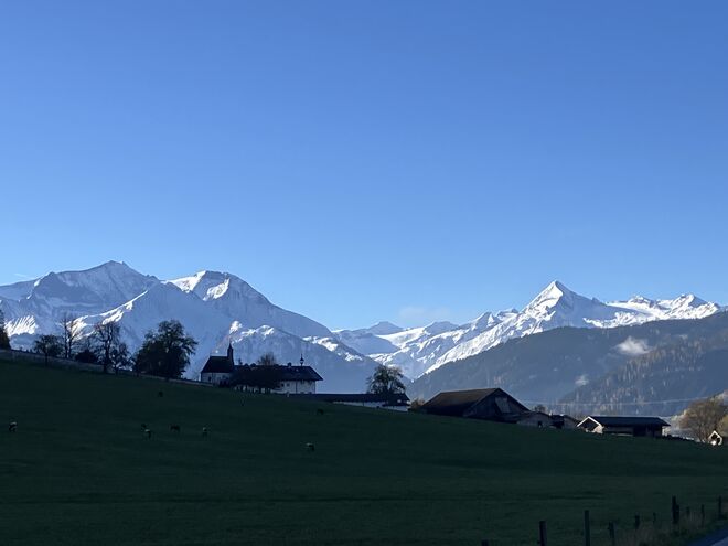 Schneebedeckte Tauern; im Vordergrund Schloss Kammer