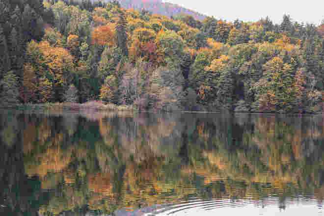 Schöner Herbst....