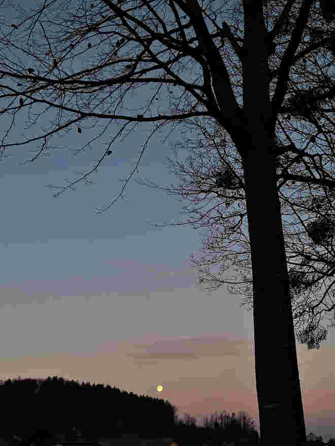 Als sich der Wolfsmond verabschiedete