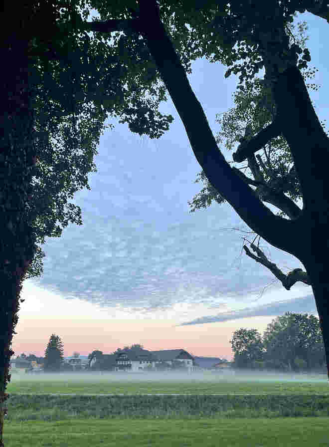 Morgendunst