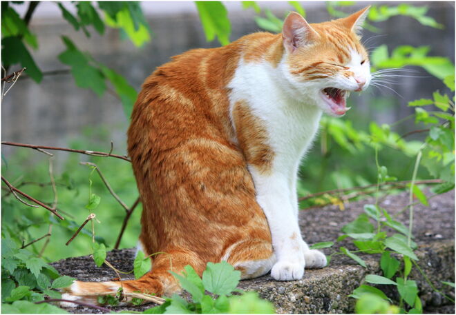 * war wohl eine anstrengende Nacht *