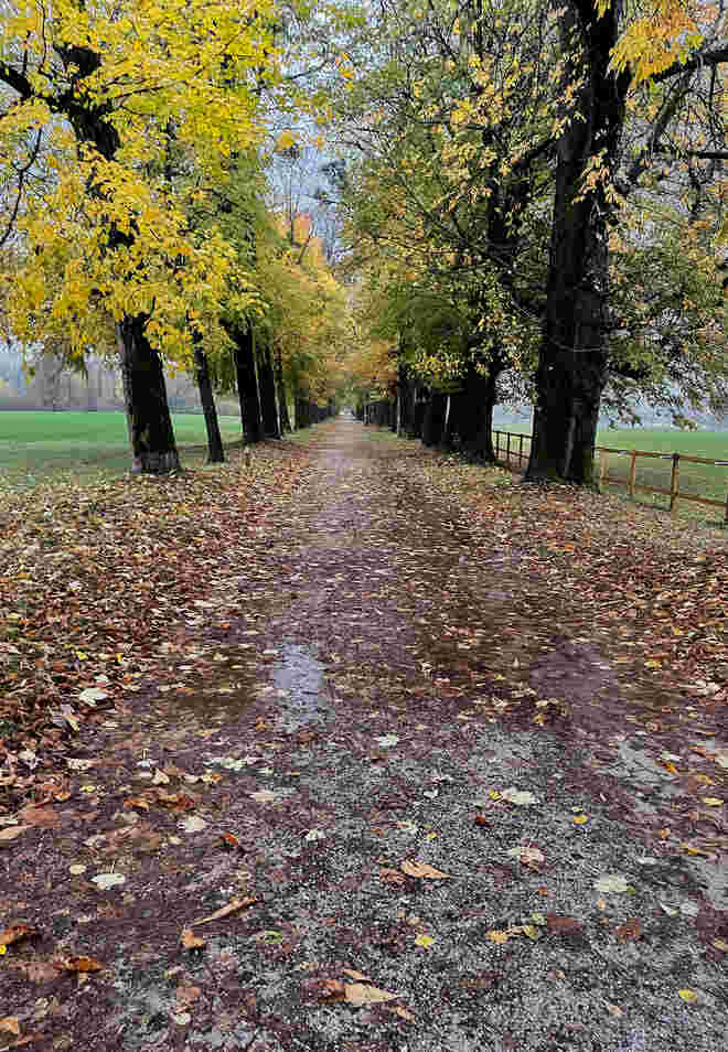 Regennasse Hellbrunner Allee