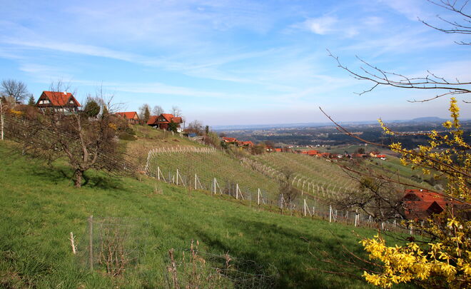 An der Schilcherweinstraße