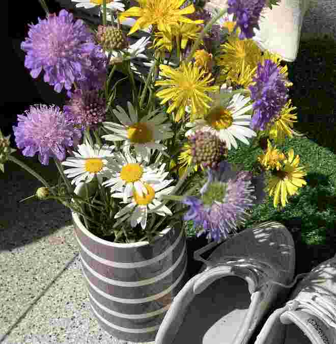 Wiesenblumen