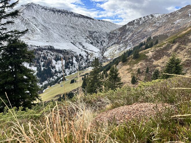 Die Ameisen sind noch aktiv