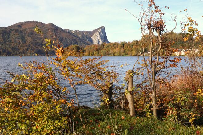 Herbstfarben am Mondseeufer