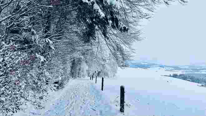 Winterspaziergang am Buchberg