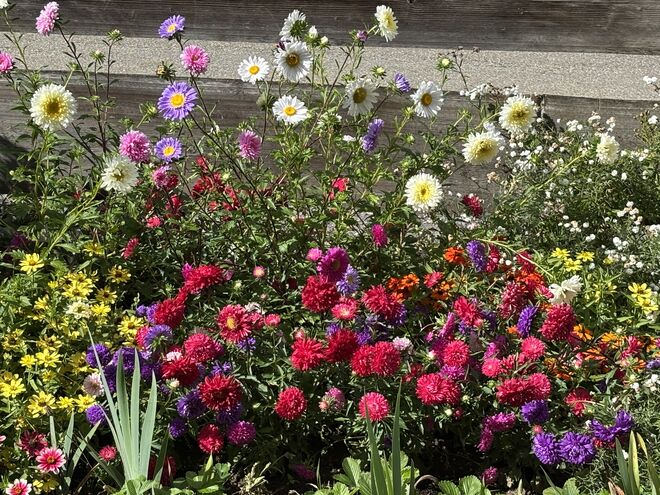 Meteorologischer Herbstanfang  