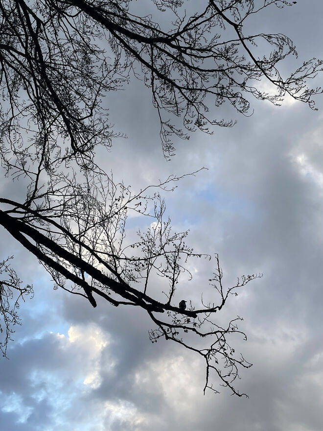 Big Brother is watching you  ;  )