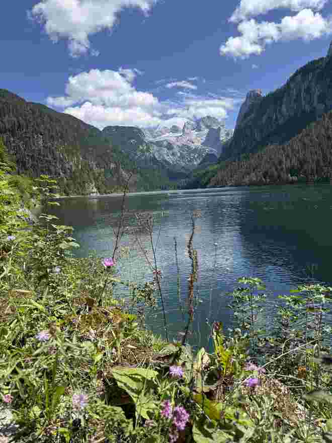 Blick zum Dachstein 