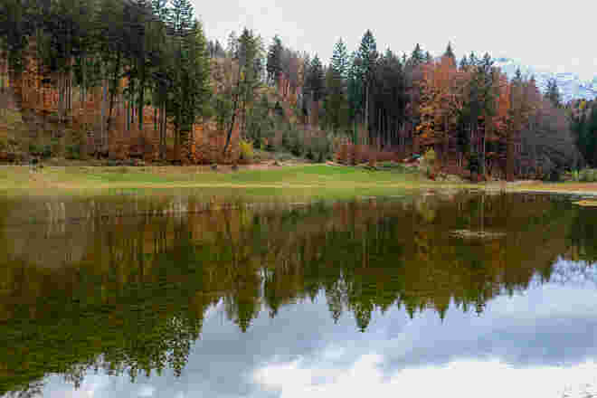 Der Wald im Herbstkleid...