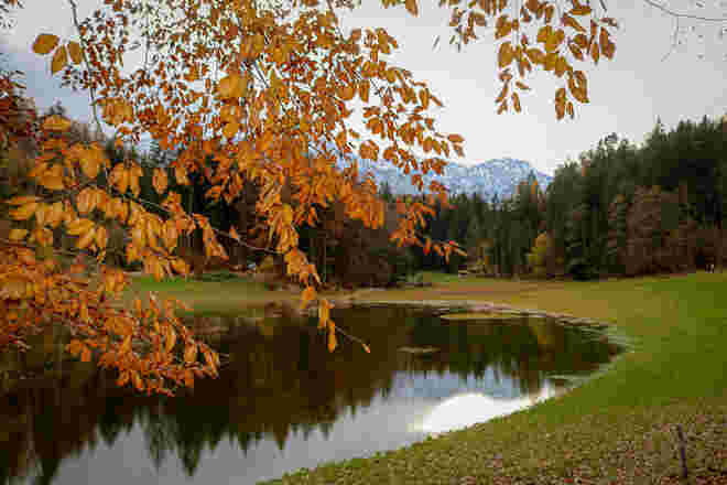 So farbenfroh kann nur der Herbst sein....